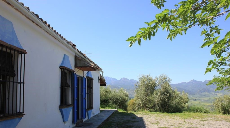 Cádiz - Algodonales - 48273m2