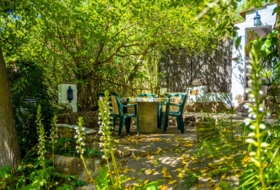 Foto 19