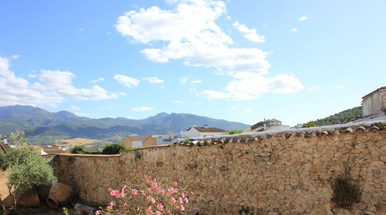 Cádiz - Algodonales - 715m2