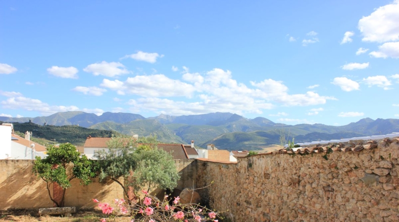 Cádiz - Algodonales - 715m2