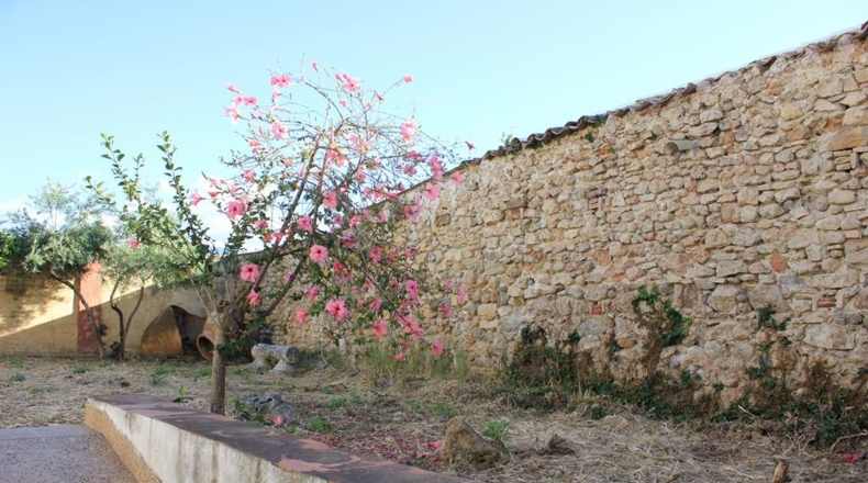 Cádiz - Algodonales - 715m2