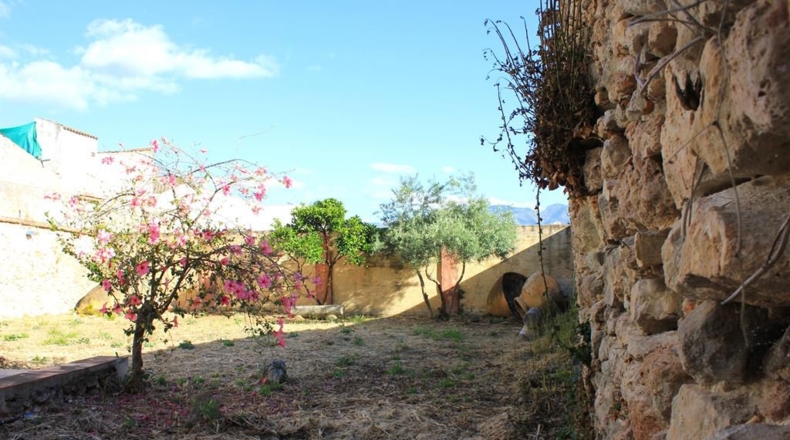 Cádiz - Algodonales - 715m2