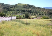 Sòl urbà en venda a Algodonales ref.: TR110889 foto