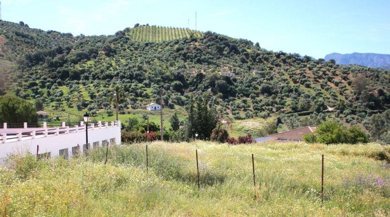 Cádiz - Algodonales - 228m2