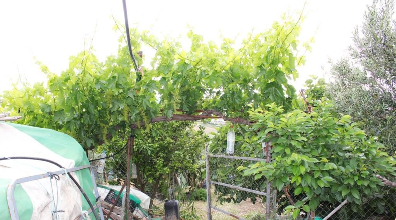 Sevilla - Pruna - 362m2