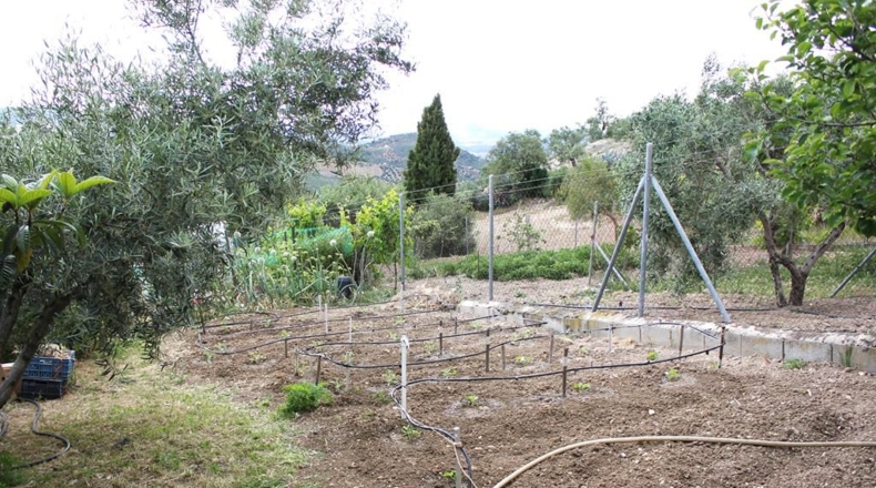 Sevilla - Pruna - 362m2