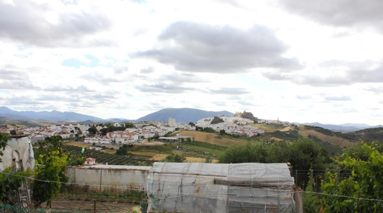 Sevilla - Pruna - 362m2