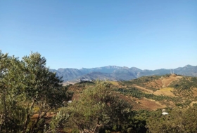 Algodonales 59534&nbsp;m² 
