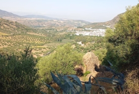 Algodonales 59534&nbsp;m² 