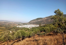 Algodonales 59534&nbsp;m² 