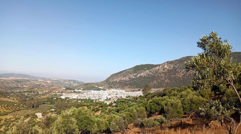 Cádiz - Algodonales - 59534m2