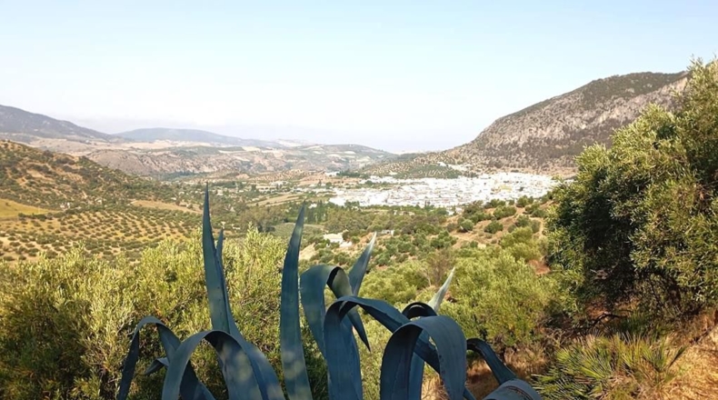 Cádiz - Algodonales - 59534m2