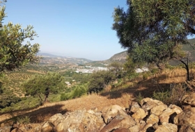 Algodonales 59534&nbsp;m² 