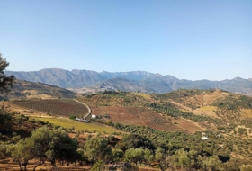 Algodonales 59534&nbsp;m² 