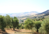Земля на продажу у города Montecorto Фото