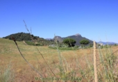 Земля на продажу у города Montecorto Фото