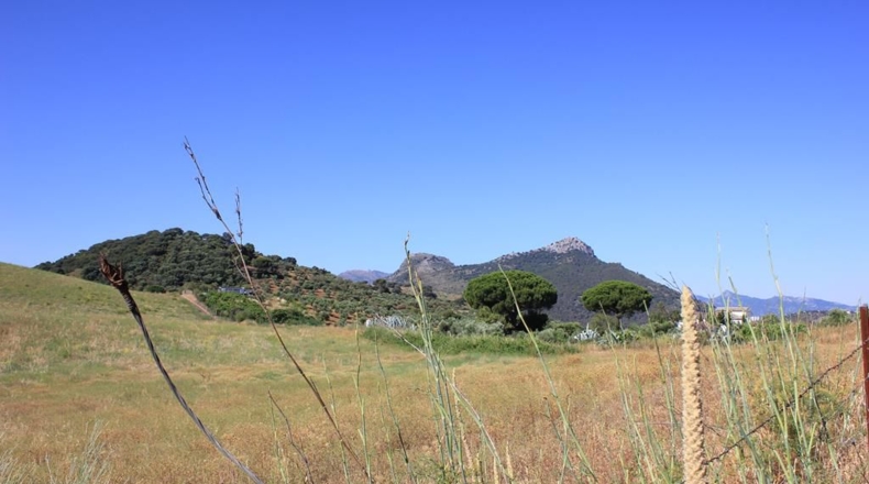 Cádiz - El Gastor - 186163m2
