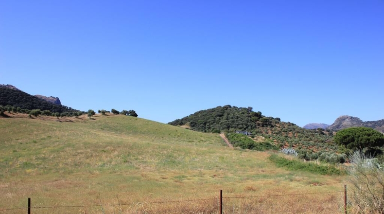 Cádiz - El Gastor - 186163m2