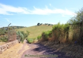 Земля на продажу у города Montecorto Фото