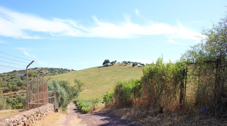 Cádiz - El Gastor - 186163m2