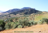 Земля на продажу у города Montecorto Фото