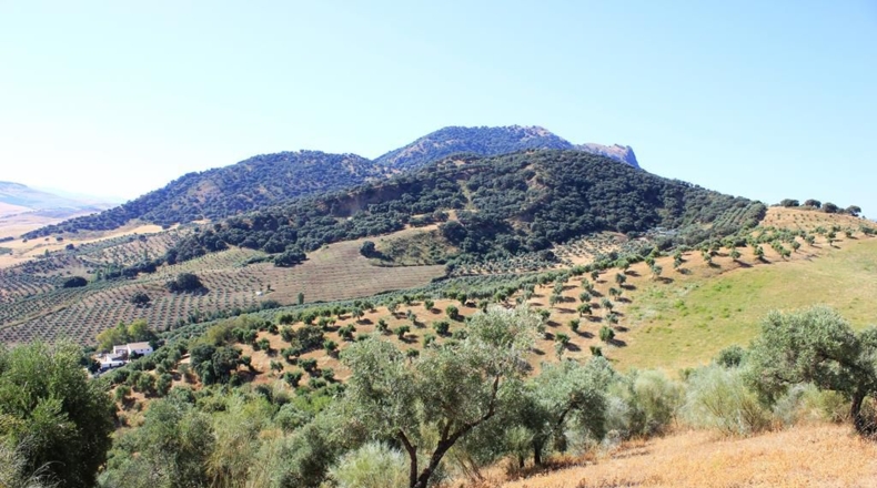 Cádiz - El Gastor - 186163m2