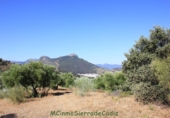 Земля на продажу у города Montecorto Фото