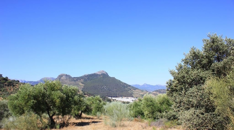 Cádiz - El Gastor - 186163m2