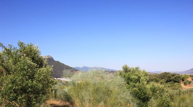 Cádiz - El Gastor - 186163m2