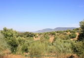 Земля на продажу у города Montecorto Фото