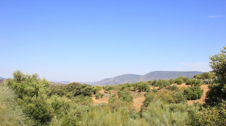 Cádiz - El Gastor - 186163m2