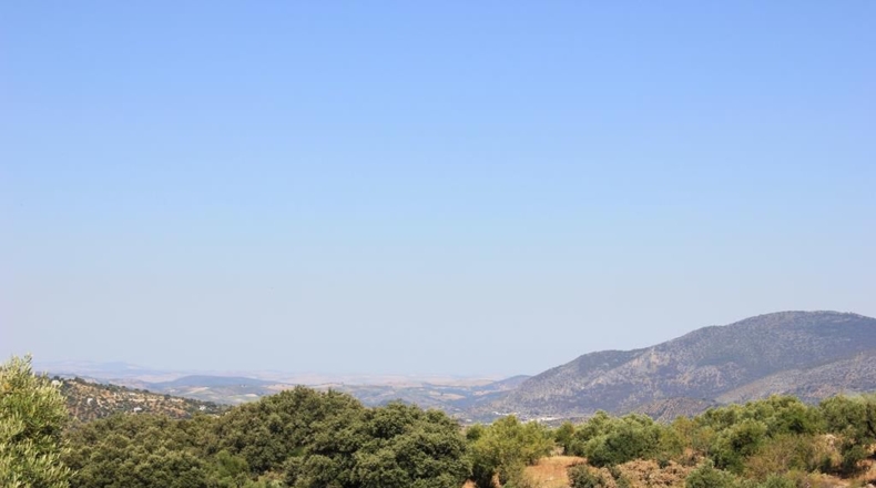 Cádiz - El Gastor - 186163m2