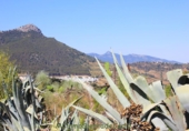 Земля на продажу у города Montecorto Фото