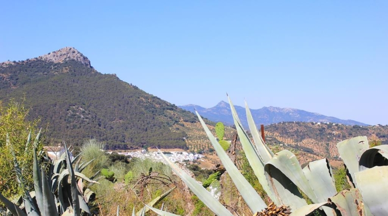 Cádiz - El Gastor - 186163m2
