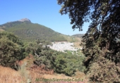 Земля на продажу у города Montecorto Фото