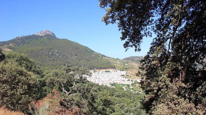 Cádiz - El Gastor - 186163m2