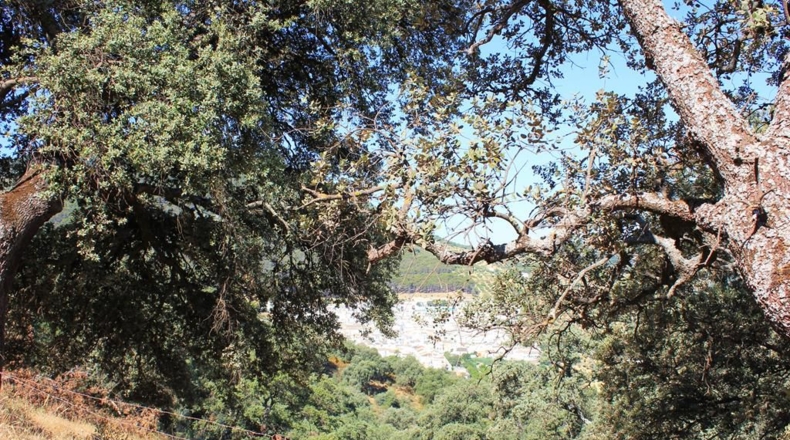 Cádiz - El Gastor - 186163m2