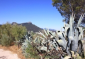 Земля на продажу у города Montecorto Фото