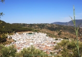 Земля на продажу у города Montecorto Фото