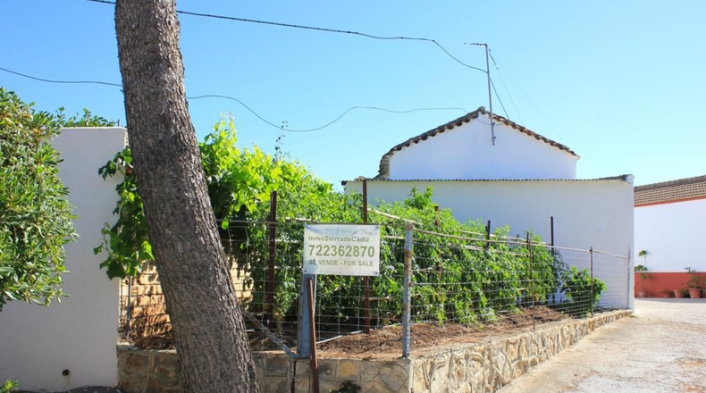 Cadiz - La Muela - 444m2