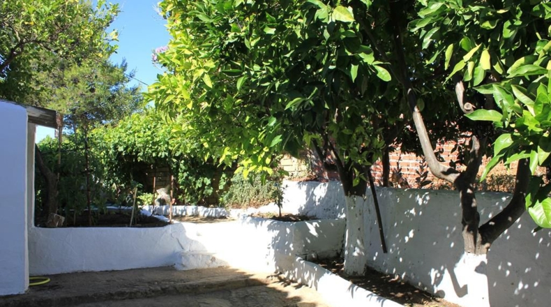 Cadiz - La Muela - 444m2