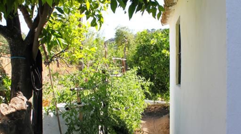 Cadiz - La Muela - 444m2