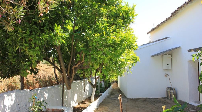 Cadiz - La Muela - 444m2