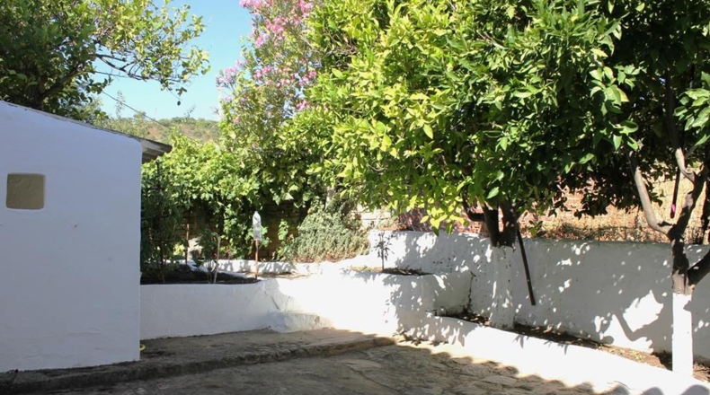 Cadiz - La Muela - 444m2