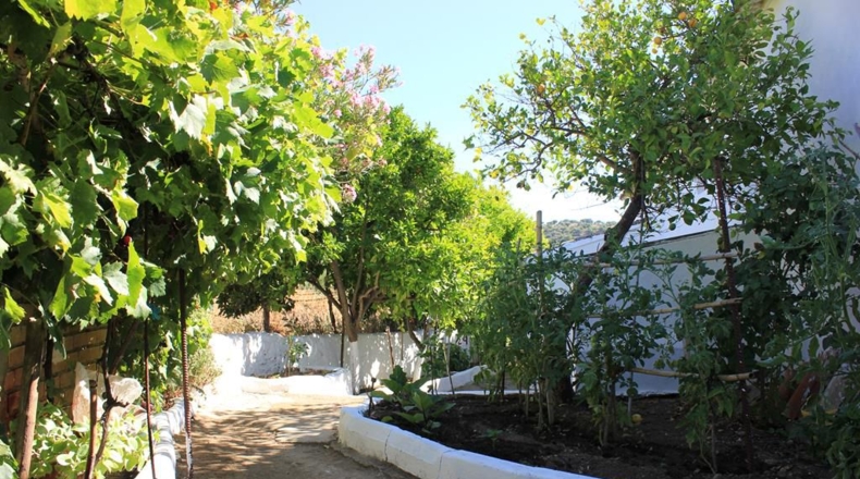 Cadiz - La Muela - 444m2