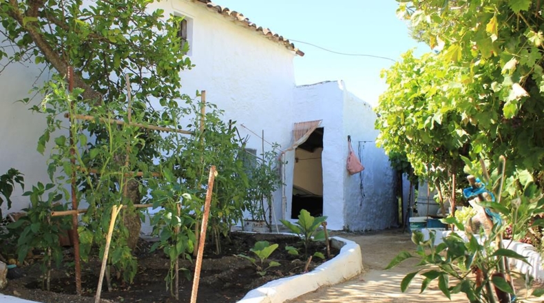 Cadiz - La Muela - 444m2
