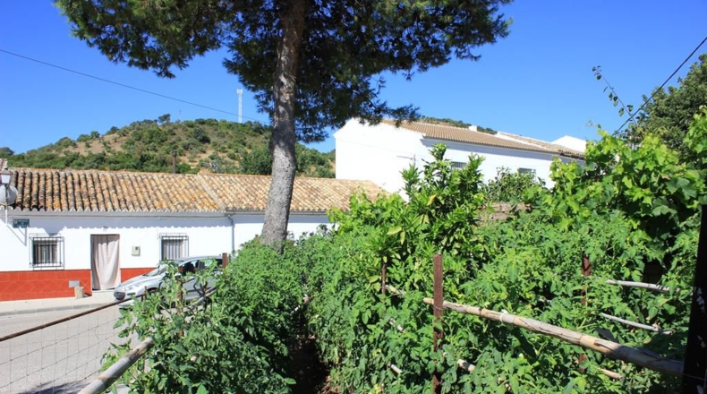 Cadiz - La Muela - 444m2