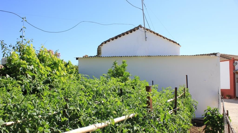 Cadiz - La Muela - 444m2