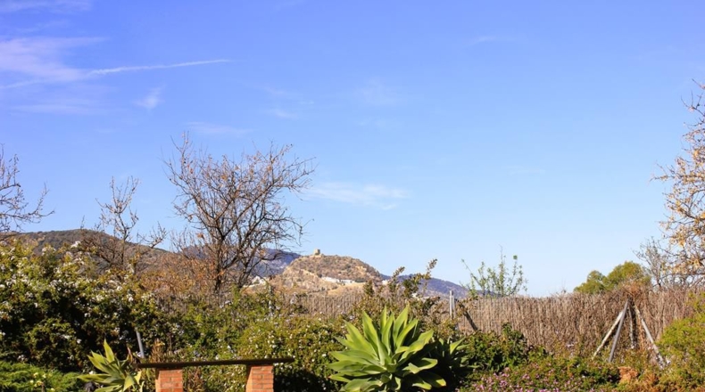 Cadiz - El Gastor - 27490m2