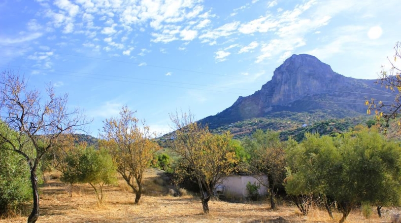 Cadiz - El Gastor - 27490m2